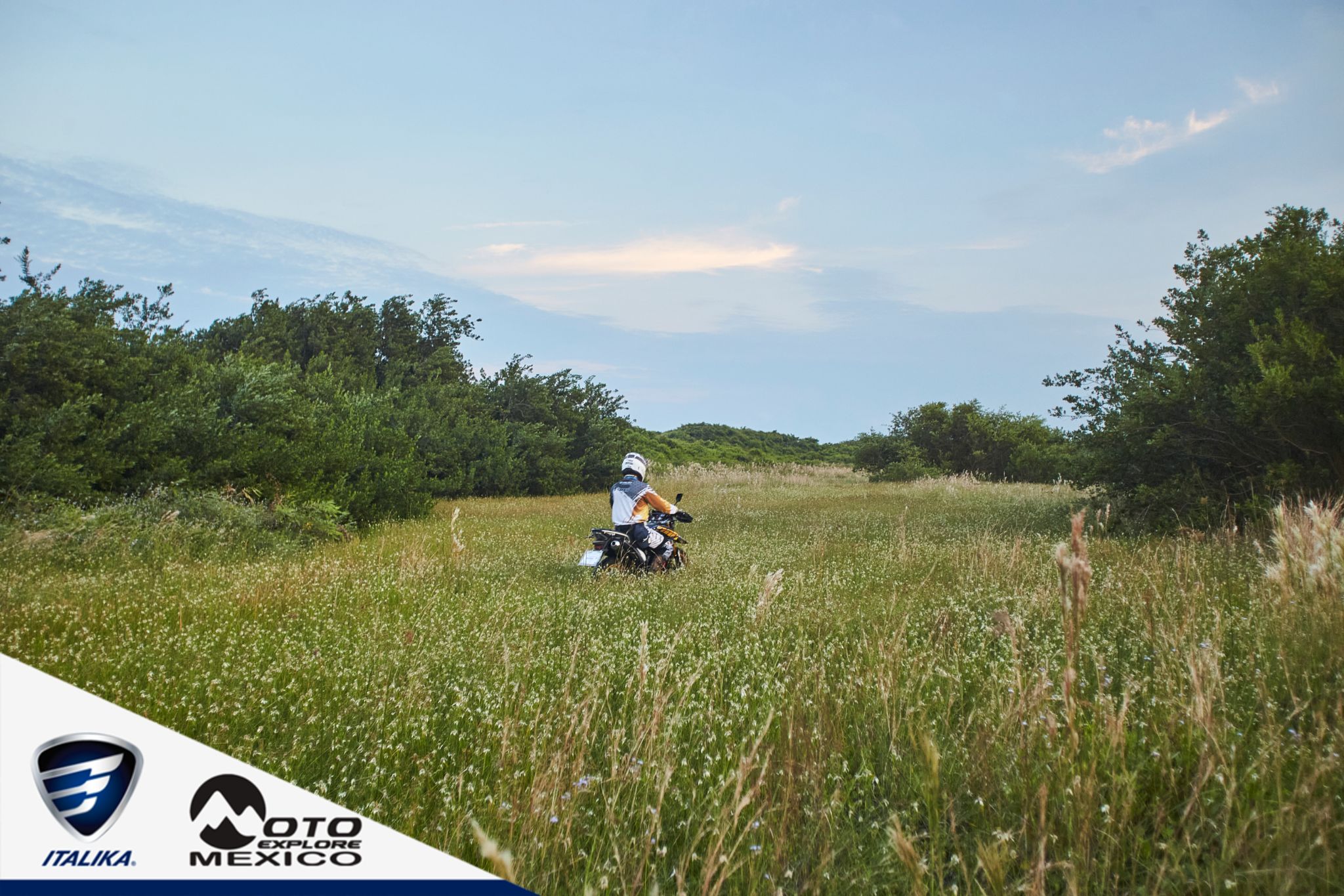 ITALIKA CHACHALACAS D1 404